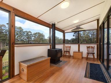 House Leased - TAS - Port Arthur - 7182 - Brilliant Location, Privacy & Water Views  (Image 2)