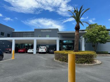 Office(s) For Lease - QLD - Varsity Lakes - 4227 - Corporate Office - Extensive Lake Views  (Image 2)