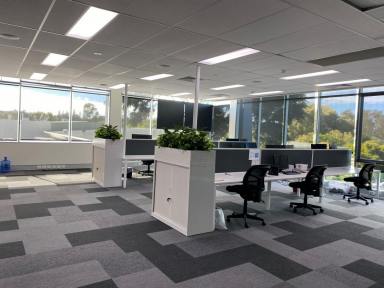 Office(s) Leased - QLD - Varsity Lakes - 4227 - Corporate Office - Extensive Lake Views  (Image 2)