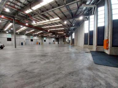 Industrial/Warehouse Leased - QLD - Arundel - 4214 - Modern Office and Warehouse (Image 2)
