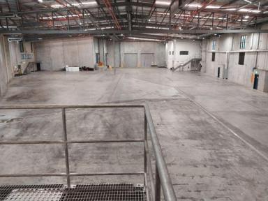 Industrial/Warehouse For Lease - QLD - Arundel - 4214 - Modern Office and Warehouse  (Image 2)