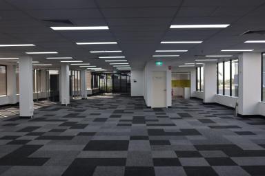 Office(s) For Lease - QLD - Southport - 4215 - ****Newly Renovated Corporate Offices****  (Image 2)