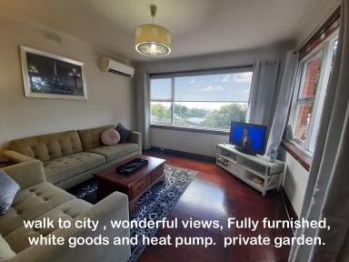 Apartment For Lease - TAS - South Launceston - 7249 - FULLY FURNISHED SELF CONTAINED PRIVATE ONE BEDROOM APARTMENT  (Image 2)
