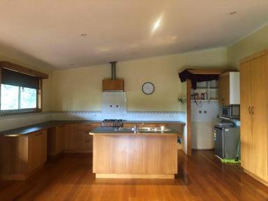 Acreage/Semi-rural Leased - TAS - Port Arthur - 7182 - Tranquil 2 bedroom home on acreage  (Image 2)