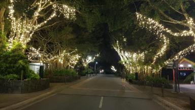 Retail For Lease - QLD - Kuranda - 4881 - PERFECT BAKERY SITE OR PERFECT CAFE SITE- PRIME HIGH TRAFFIC CBD LOCATION (Image 2)