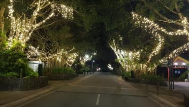 Retail For Lease - QLD - Kuranda - 4881 - PERFECT BAKERY SITE OR PERFECT CAFE SITE- PRIME HIGH TRAFFIC CBD LOCATION  (Image 2)