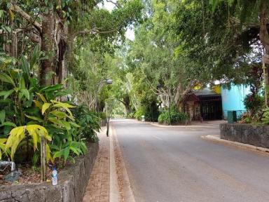 Retail For Lease - QLD - Kuranda - 4881 - PERFECT CAFE or FOOD SITE- PRIME HIGH TRAFFIC CBD LOCATION  (Image 2)
