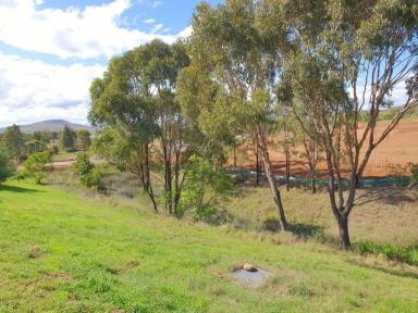 Residential Block For Sale - NSW - Muswellbrook - 2333 - VACANT LAND SET AT THE END OF A QUIET CUL-DE-SAC IN NORTH MUSWELLBROOK  (Image 2)
