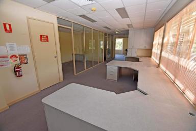 Office(s) For Lease - VIC - Kyabram - 3620 - 5/147 Fenaughty Street, Kyabram  (Image 2)