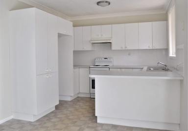 House For Lease - NSW - South Bathurst - 2795 - LIGHT, BRIGHT AND COMFORTABLE  (Image 2)