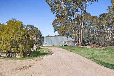 House For Sale - NSW - Walang - 2795 - "BUNDALEER"  (Image 2)