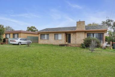 House For Sale - NSW - Eglinton - 2795 - LARGE LAND WITH SIDE ACCESS  (Image 2)