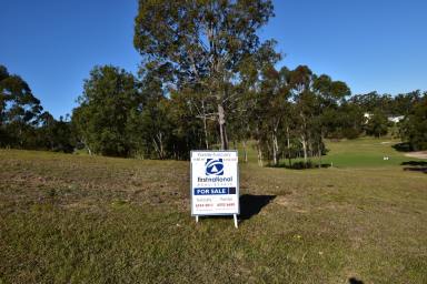 Residential Block For Sale - NSW - Tallwoods Village - 2430 - Large Block In Tallwoods Village  (Image 2)