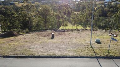 Residential Block For Sale - NSW - Tallwoods Village - 2430 - VACANT LAND IN THE HEART OF TALLWOODS  (Image 2)