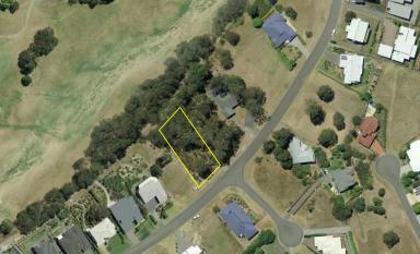 Residential Block For Sale - NSW - Tallwoods Village - 2430 - VACANT LAND IN THE HEART OF TALLWOODS  (Image 2)
