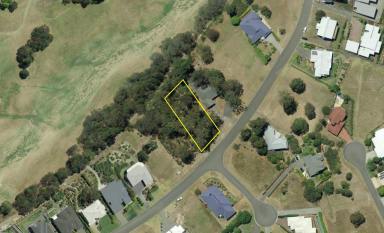 Residential Block For Sale - NSW - Tallwoods Village - 2430 - GENEROUS BLOCK IN TALLWOODS VILLAGE  (Image 2)