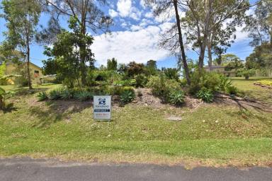 Residential Block For Sale - NSW - Green Point - 2428 - VACANT BLOCK WITH LAKE VIEWS  (Image 2)