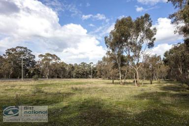 Residential Block For Sale - VIC - Big Hill - 3555 - Unique Parcel - Land bank for the future!  (Image 2)