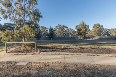 Residential Block For Sale - VIC - Jackass Flat - 3556 - Build In A Fantastic Location  (Image 2)