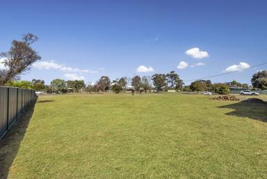 Residential Block For Sale - VIC - Huntly - 3551 - SUBSTANTIAL HOME SITE - WHAT A BLOCK!  (Image 2)