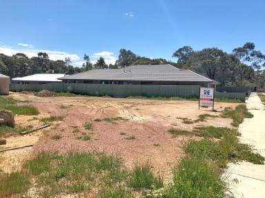 Residential Block For Sale - VIC - Eaglehawk - 3556 - Your Future is Now!  (Image 2)