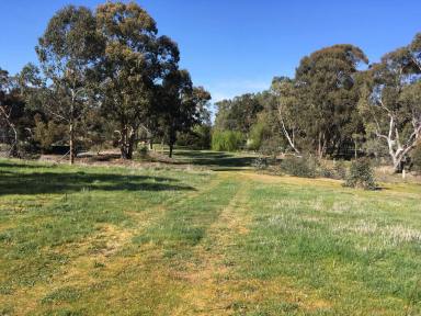Residential Block For Sale - VIC - Ascot - 3551 - Significant Development Opportunity on Approx. 18 Acres  (Image 2)