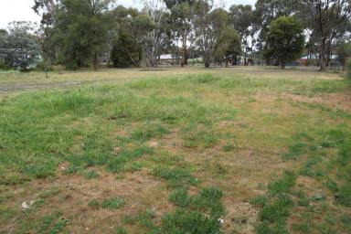 Residential Block For Sale - VIC - Axedale - 3551 - Dreams Really do Come True  (Image 2)