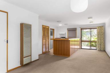 House For Sale - VIC - Bendigo - 3550 - Good Things Do Come in Small Packages!  (Image 2)