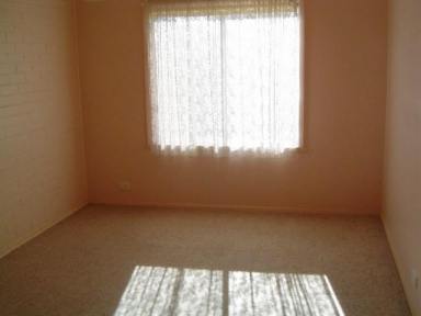 House For Lease - VIC - Flora Hill - 3550 - Neat and Tidy Unit  (Image 2)