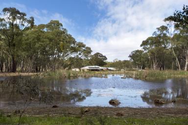 House For Sale - VIC - Longlea - 3551 - Private Paradise on 20 Acres with Substantial Residence  (Image 2)