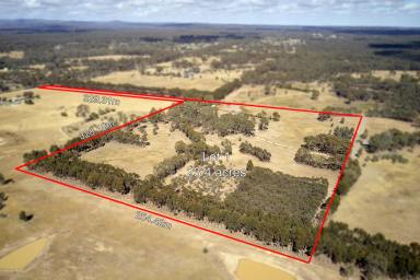 Residential Block For Sale - VIC - Longlea - 3551 - A Choice of Two Magnificent Home Sites  (Image 2)