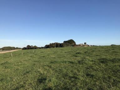 Acreage/Semi-rural For Sale - VIC - Warrnambool - 3280 - Lifestyle Opportunity on Quality land  (Image 2)