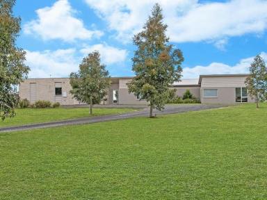 House For Sale - VIC - Hamilton - 3300 - 'Bold and Beautiful' - Exceptional family home on Hamilton's fringe.  (Image 2)
