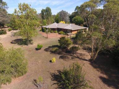 House For Sale - VIC - Wannon - 3301 - Private & secluded - a nature lovers retreat!  (Image 2)