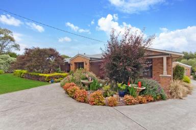 House For Sale - VIC - Warrnambool - 3280 - "Summer Garden" - Tranquility and Seclusion  (Image 2)