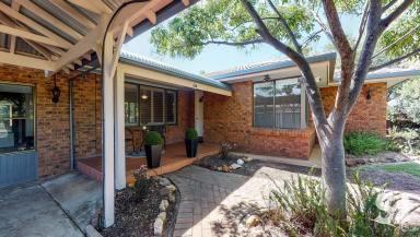 House Leased - NSW - Dubbo - 2830 - Application Approved - Living Space Galore!  (Image 2)