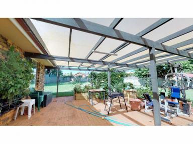 House Leased - NSW - Dubbo - 2830 - Expansive Living In Eastridge  (Image 2)