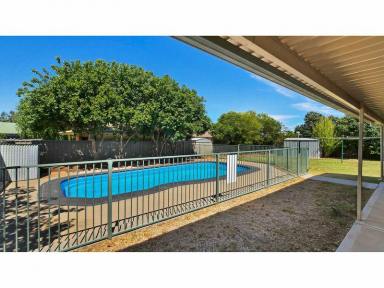 House Leased - NSW - Dubbo - 2830 - Application Approved - Close to shopping and Public Transport  (Image 2)