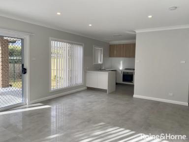 House For Lease - NSW - Bowral - 2576 - Contemporary Living in a Convenient Location  (Image 2)