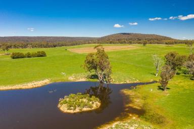 Lifestyle For Sale - NSW - Goulburn - 2580 - Top Location And An Abundance Of Water  (Image 2)