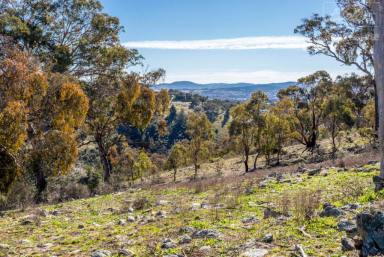 Residential Block For Sale - NSW - Googong - 2620 - Vacant Land  (Image 2)