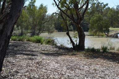 Lifestyle For Sale - NSW - Wentworth - 2648 - THE DARLING RIVER IS CALLING YOU  (Image 2)