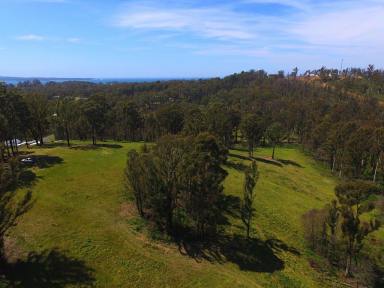Residential Block For Sale - NSW - Catalina - 2536 - STUNNING RURAL LAND WITH VIEWS  (Image 2)