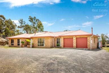 Lifestyle For Sale - NSW - Carwoola - 2620 - Rural Lifestyle Close to Town  (Image 2)
