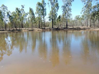 Cropping For Sale - QLD - Dingo - 4702 - Central Queensland Breeding Property  (Image 2)