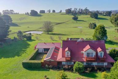Other (Rural) For Sale - VIC - Warragul - 3820 - Pristine Lifestyle Living - Edge of Warragul  (Image 2)