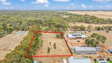 Residential Block For Sale - VIC - Echuca - 3564 - BUILD YOUR DREAM HOME  (Image 2)
