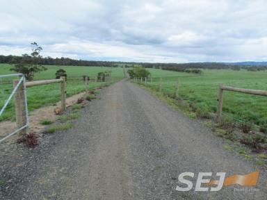 Mixed Farming For Sale - VIC - Yarragon - 3823 - 241 ACRESWELL LOCATED PRIME AGRICULTURAL LAND  (Image 2)