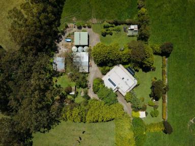 Other (Rural) For Sale - VIC - Fish Creek - 3959 - Country comfort, 15 parklike acres  (Image 2)