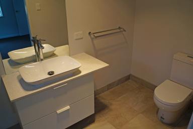 Unit For Lease - QLD - Cooroy - 4563 - Modern flat close to Cooroy and all amenities  (Image 2)